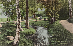 Senftenberg